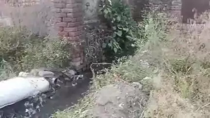 साढौरा: सढौरा के मोहल्ला रामदासिया वार्ड नंबर 11 मे रिहायशी घरों के सामने से गुजर रहे गंदे पानी से लोग परेशान। #jansamsya