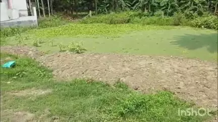 বনগাঁ: বনগাঁ পৌরসভার ৯ নাম্বার ওয়ার্ডের ঠাকুর পল্লীতে জলাভূমি ভরাটের অভিযোগে সরব হলেন তৃণমূল কংগ্রেসের কাউন্সিলর