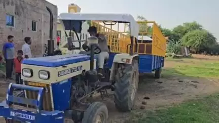 જંબુસર: જંબુસર મા રખડતા ઢોર નો આંતક યથાવત