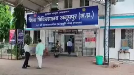 अनूपपुर: प्यारी के पास तेज रफ्तार वाहन ने बाइक सवार को मारी टक्कर, घायल, इलाज जारी