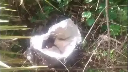মুরারই ২: বিনোদপুরে বোমা উদ্ধার নিয়ে কামারখুর গ্রাম থেকে প্রতিক্রিয়া দিলেন বীরভূম বিজেপির সংখ্যা লঘুসেল সাধারণ সম্পাদক খাবির সেখ