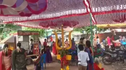 பாலக்கோடு: மேக்லாம்பட்டி  கிராமத்தில் வேடியப்பன், முத்துவேடியம்மன், போத்தராஜ்   கோயில் திருவிழா