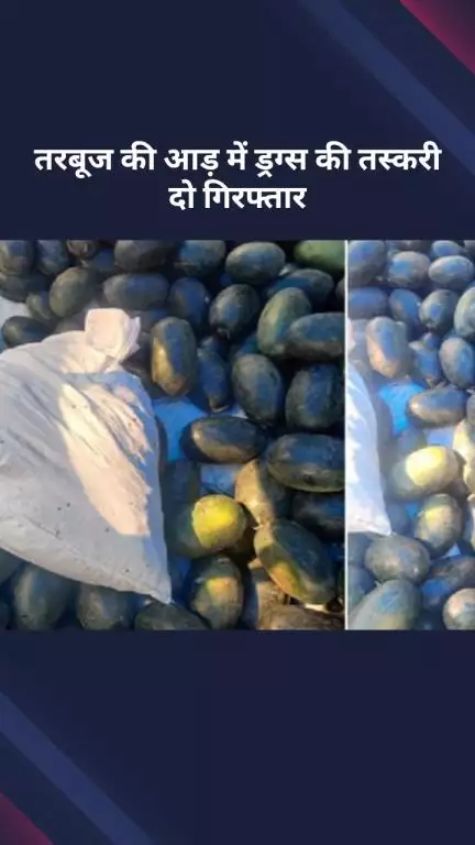 सरस्वती विहार: दिल्ली: तरबूज की आड़ में ड्रग्स की तस्करी, करीब दो करोड़ का गांजा जब्त, दो गिरफ्तार