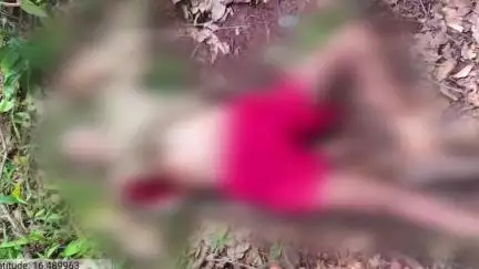 राधानगरी: राधानगरी तालुक्यातील आपटाळ पैकी कुदळवाडी इथल्या शेतकऱ्याचा गव्याच्या धडकेत मृत्यू.