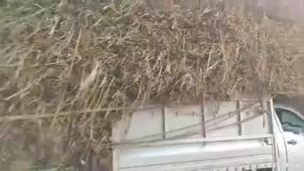 मधुपुर: मधुपुर में परिवहन नियमों की अनदेखी कर अवैध लोडिंग, दुर्घटना की आशंका