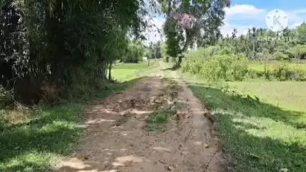 সোণাৰি: শিঙৰাজানত তিনিখনকৈ গাওঁৰ সংযোগী ১০ নং ৱাৰ্ডৰ পথৰ দূৰৱস্থাত অতিষ্ঠ জনসাধাৰণ, পথ নিৰ্মাণৰ দাবী ৰাইজৰ #jansamasya