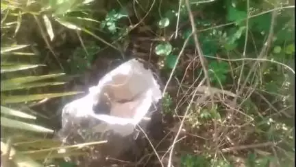 রামপুরহাট ২: রামপুরহাটের বিনোদপুরে বোমা উদ্ধার নিয়ে প্রতিক্রিয়া দিলেন বিজেপির বীরভূম জেলা সহ সভানেত্রী রুপারাণী মন্ডল।