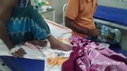 कटिहार: शहरयार में खेत में काम करते समय किसान को जहरीले सांप ने काटा, अस्पताल में भर्ती