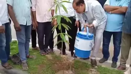 सुमेरपुर: तखतगढ़ नगर पालिका प्रशासन और राजनीतिक दलों ने हरियाला राजस्थान के तहत मां के नाम पर एक पेड़ लगाया