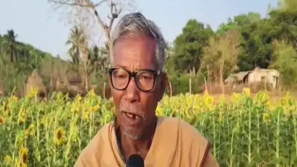 ଫୁଲବାଣୀ ସହର: ବୋଇଡା ଗ୍ରାମରେ ITDA ଦ୍ୱାରା ମଣ୍ଡା ଚାଷ କରି ଉପକୃତ ହୋଇଛନ୍ତି  ମତାମତ ରଖୀଛନ୍ତି ସବଳ ଚାଷି