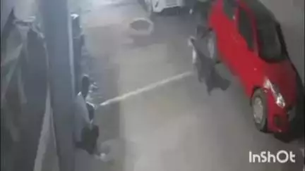 गुरुग्राम: रईसजादे ने फॉर्च्यूनर से कुत्ते को कुचला, तड़पकर हुई मौत, CCTV में कैद