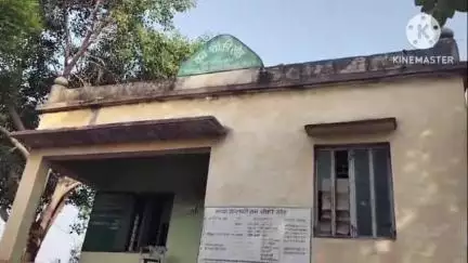 पिछोर: खोड़ रेंज की केनवाया बीट में वन विभाग के अधिकारी सोते रहे और कट गया खैर जंगल