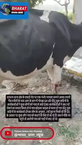 ईद पर गाय काटने की कोशिश का आरोपः हिंदू संगठनों ने रोका, आरोपी फरार; पुलिस ने कहा-आवारा गाय थी, ले जा सकते थे