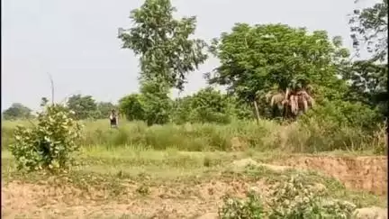 রামপুরহাট ১: রামপুরহাট থানার বিনোদপুর  মোড় এলাকায় ক্যানেল পাড়ে জঙ্গলে  বস্তা ভর্তি  উদ্ধার হওয়া বোমা গুলি নিষ্ক্রিয় করলো পুলিশ