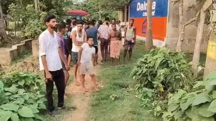 ବଡଚଣା: ଆଁଉରୀ ଛକ ନିକଟରେ ଟାଟା ପାୱାରର ଦାୟିତ୍ୱହୀନତା ଯୋଗୁଁ ଏକ ବାଛୁରୀର ବିଦ୍ୟୁତ୍ ସଂସ୍ପର୍ଶରେ ମୃତ୍ୟୁ ଘଟିଥିବା ଅଭିଯୋଗ #jansamasya