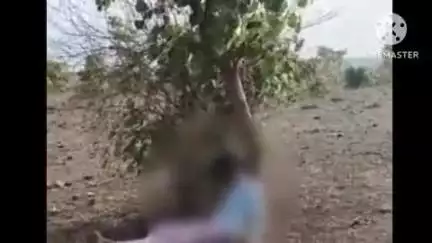 अशोक नगर: अशोकनगर: राजपुर चौकी क्षेत्र में वन विभाग की नर्सरी में युवक ने फांसी लगाकर की आत्महत्या
