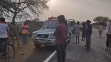 पंडरिया: ग्राम महका में तेज रफ्तार पिकअप ने सड़क पर बैठी मवेशी की ली जान, पुलिस ने लिया संज्ञान