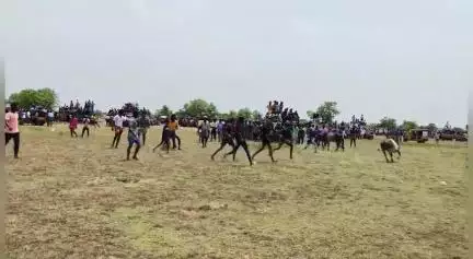 சிவகங்கை: கீழக்கோட்டை கண்மாய் பகுதியில் அனுமதியின்றி மஞ்சுவிரட்டு நடத்தியதாக ஐந்து நபர்கள் மீது வழக்கு