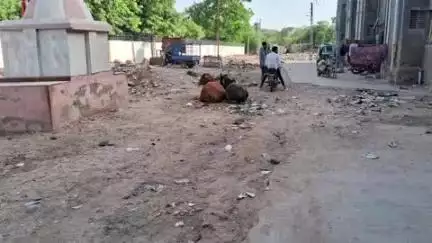 નગરપાલિકા દ્વારા 6 લાખની ગ્રાન્ટ ફાળવવા છતાં શ્રમજીવી આવાસ યોજનાનો રોડ આજદિન સુધી બન્યો નથી
#Jansamasya