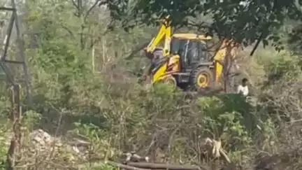 अम्ब: भट्ठीयां वाला में बिना विभाग की अनुमति के हरे पेड़ों का कटान कर पहाड़ियों को किया जा रहा समतल