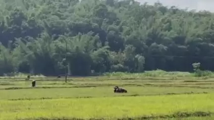 സുൽത്താൻബത്തേരി: പാലളവ് സമയം മാറ്റണമെന്ന ആവശ്യവുമായി നൂൽപ്പുഴയിലെ കാടൻ കൊല്ലി, ഊരംകുന്ന് പ്രദേശത്തെ ക്ഷീര കർഷകർ #localissue