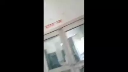 गुनौर: हिनौता के 132 केवी उप विद्युत केंद्र में ऑफिस के अंदर दिखा नाग-नागिन का जोड़ा