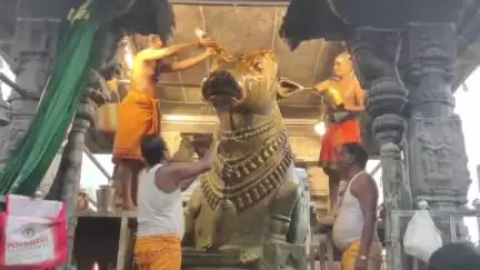 திருவண்ணாமலை: அருணாச்சலேஸ்வரர் கோவிலில் பெரிய நந்தி பகவானுக்கு பிரதோஷ வழிபாட்டில் சிறப்பு அபிஷேகம் மற்றும் மகா தீபாராதனை நடைபெற்றது