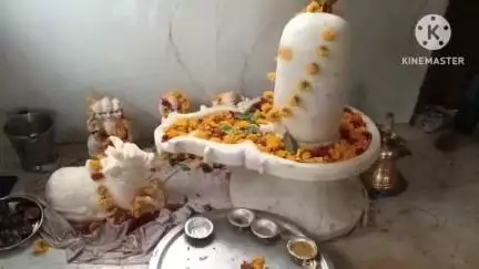 पथरिया: बेटे ने पिता का सपना किया पूरा, श्री शंभू बाबा की करवाई प्राण प्रतिष्ठा