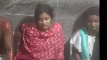 ডোমকল: ডোমকলে বাইক দুর্ঘটনায় আহত হল তিন জন