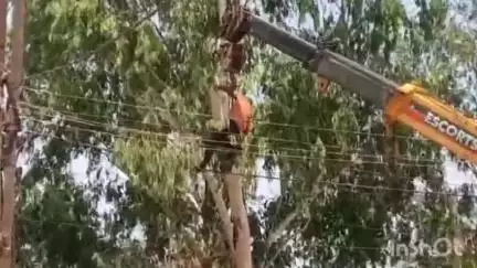 बासोदा: गंजबासौदा में बारिश से पहले बिजली कंपनी का मेंटेनेंस, रविवार दोपहर 2 से 4 बजे तक बिजली कटौती