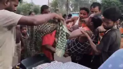 ମହୁଲପାଲି: ମୋରାମ ଠାରେ ଘୁଷୁରୀ କୁ ଧକ୍କା ଦେଇ ବାଇକ୍ ଦୁର୍ଘଟଣାଗ୍ରସ୍ତ, ଚାଳକ ଆହତ
