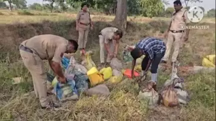 रायगढ़: ग्राम नवापारा में कोतरारोड़ पुलिस ने की बड़ी कार्रवाई, 300 बोरी महुआ पॉश नष्ट