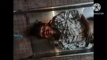 रायगढ़: होटल खाना खाने आ रहे बाइक सवार को अज्ञात वाहन ने पहाड़ मंदिर के पीछे मारी ठोकर, एक की मौत, दो घायल