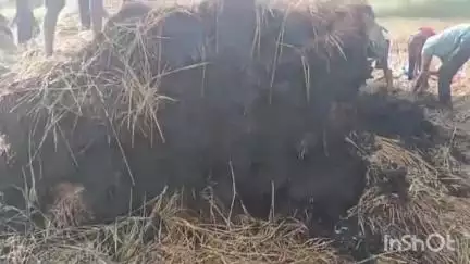 बिल्हा: ग्राम घोघरा में खेत में रखे कटे हुए फसल के ढेर पर अज्ञात लोगों ने लगाई आग, डायल 112 को दी गई सूचना