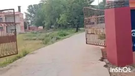 ଅତାବିରା: ଟାର୍ଗେଟ ନ ଥିବାରୁ ପତ୍ରାପାଲି ମାର୍କେଟରେ ପଡିରହିଛି ଚାଷୀଙ୍କ ଶତାଧିକ ବସ୍ତା ଧାନ