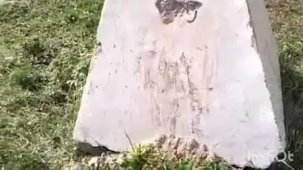 हरलाखी: हरलाखी प्रखंड के दीघीया BOP में उपद्रवियों ने भारत-नेपाल सीमा के पिलर को किया क्षतिग्रस्त, मामला दर्ज