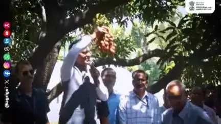 माननीय केंद्रीय कृषि मंत्री ने लीची किसान श्री हरिप्रसाद से भेंट कर खेती व बाजार संभावनाओं पर चर्चा की। #ViksitKrishi
