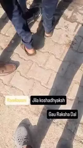गो सेवा के लिए संपर्क करें निःशुल्क सेवा