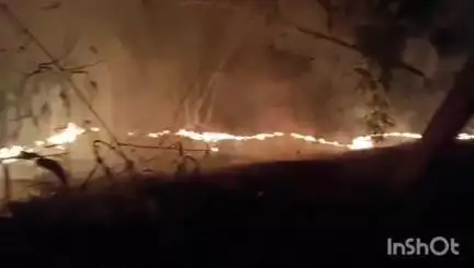 कल्याणपुर: बड़ा टोला में बांध किनारे बांस की बट्टी में आग लगने से हुआ हजारों रुपये का नुकसान