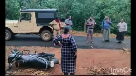 കോന്നി: കോന്നി കല്ലേലിയിൽ എസ്റ്റേറ്റ് ജീവനക്കാരന് കാട്ടാനയുടെ അക്രമണത്തിൽ പരിക്ക്