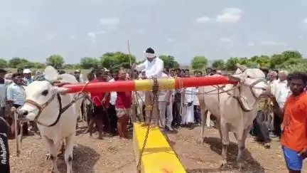 గిద్దలూరు: రాచర్ల మండలం యడవల్లి గ్రామంలో రాష్ట్రస్థాయి బండలాగుడు పోటీలను ప్రారంభించిన స్థానిక ఎమ్మెల్యే అశోక్ రెడ్డి
