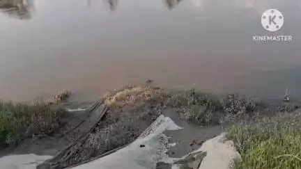সোণাৰি: চফ্ৰাইত দিচাং নদীৰ ব্যাপক গৰাখহনীয়া, কাণসাৰ নাই জনপ্ৰতিনিধিৰ, সমস্যাত অঞ্চলবাসী #jansamasya