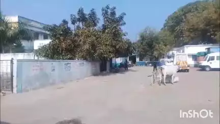 आलोट: प्रमिला गंज में अधिक शराब पीने से हुई बुजुर्ग की मौत