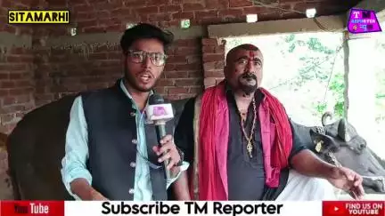 भैंस पर वीडियो बनाकर हो गया वायरल