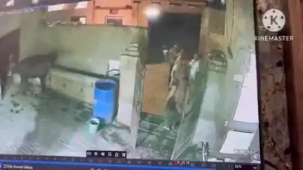 गोहाना: मिर्जापुर खेड़ी गांव में महिला और उसके पति के साथ मारपीट, सीसीटीवी कैमरे में कैद हुई घटना