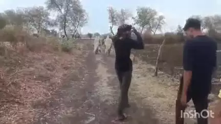 बटियागढ़: ग्राम पंचायत मैनवार के मोटे हार में किसानों के लिए नहीं है पक्की सड़क,किसान परिवार परेशान #jansamasya