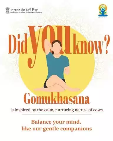Inspired by the calm of cows, Gomukhasana is more than a pose—it’s a tribute.
This #YogaDay, strike the cow pose to improve focus and flexibility.
#IDY2025 #YogaForOneEarthOneHealth #InternationalDayofYoga2025