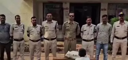 रीठी: ग्राम सुनाई में उड़द की फसल के साथ उगा रखे थे गांजे के पौधे, बिलहरी चौकी पुलिस ने आरोपी को दबोचा