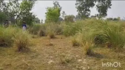 हर्रैया: कप्तानगंज थाना क्षेत्र के बिशनपुरा गांव के युवक का शव झाड़ियों में मिला, पुलिस जांच में जुटी