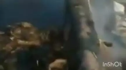 किरनापुर: ग्राम छिंदी कुंआ में भीषण आग, तीन परिवारों की गृहस्थी जलकर खाक